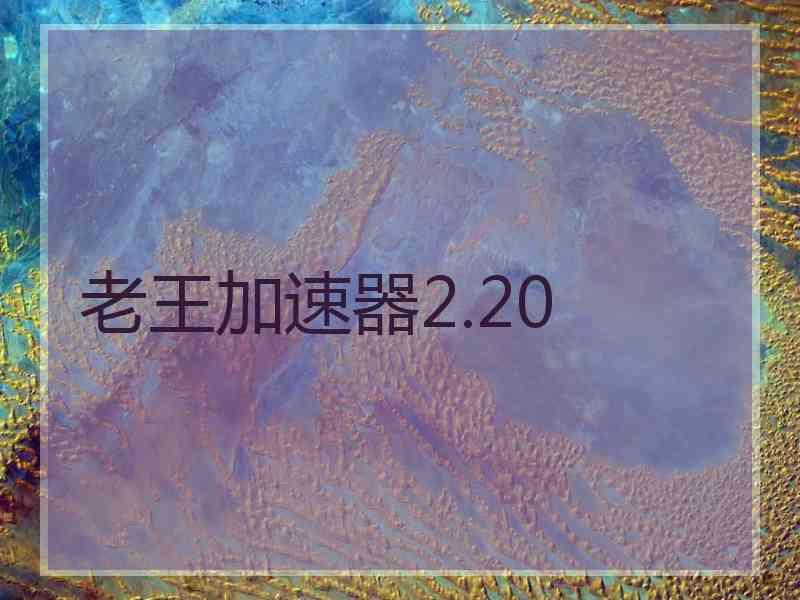 老王加速器2.20