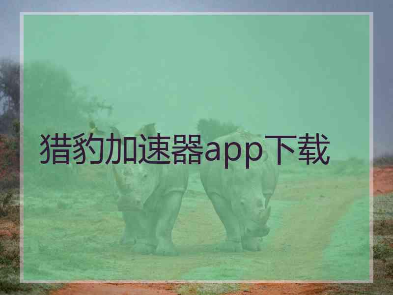 猎豹加速器app下载