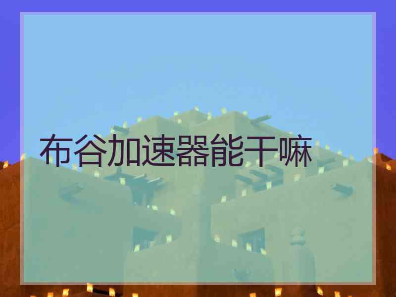 布谷加速器能干嘛