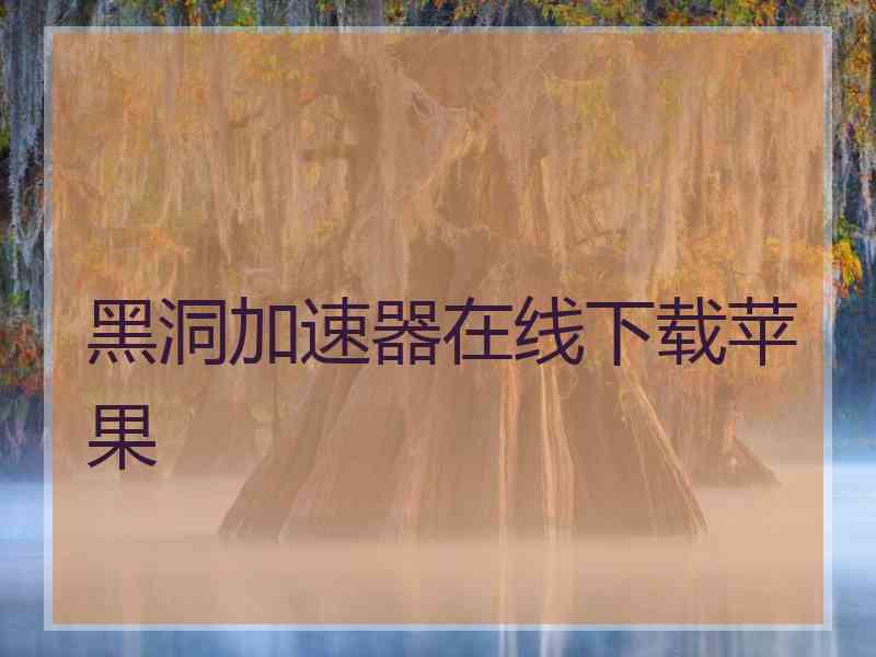 黑洞加速器在线下载苹果