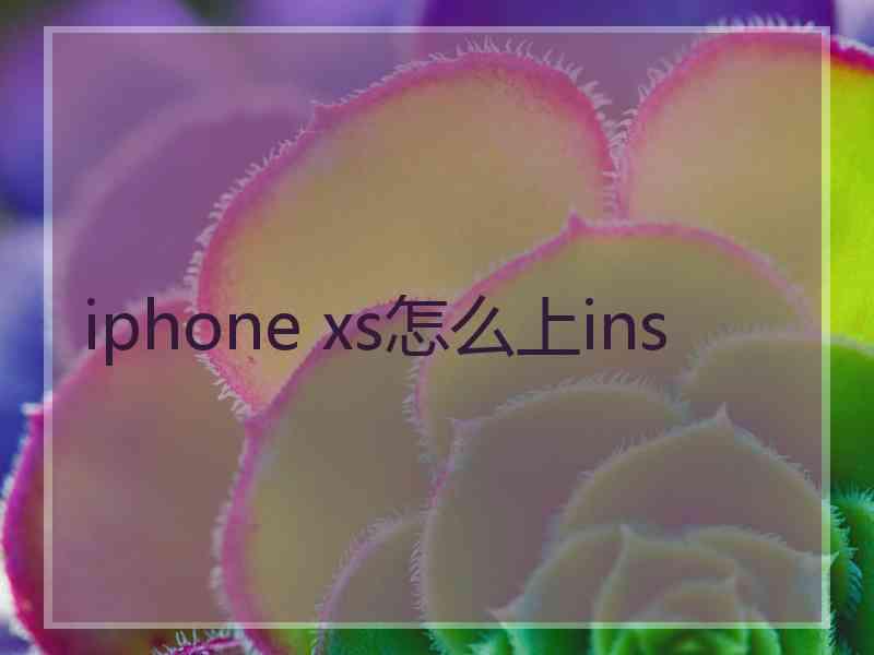 iphone xs怎么上ins
