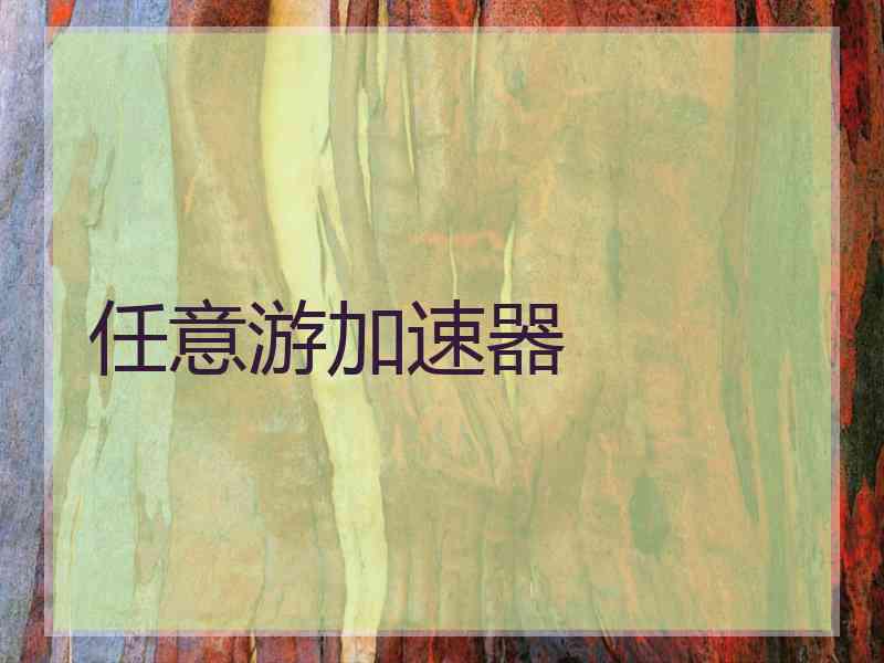 任意游加速器