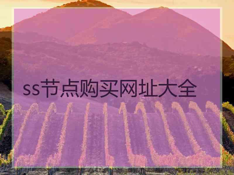 ss节点购买网址大全