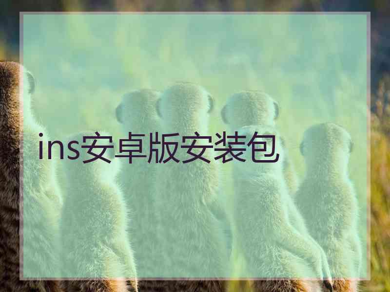 ins安卓版安装包