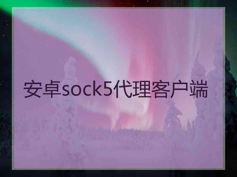 安卓sock5代理客户端