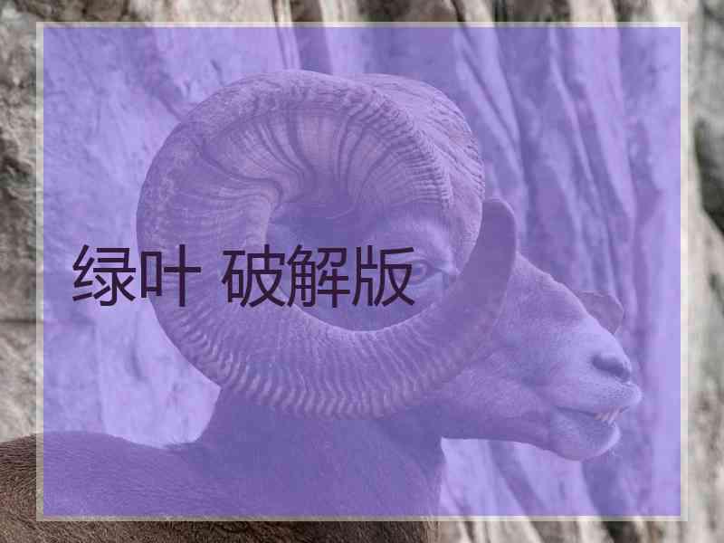 绿叶 破解版