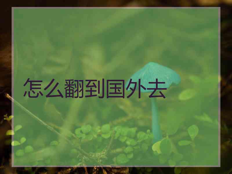 怎么翻到国外去