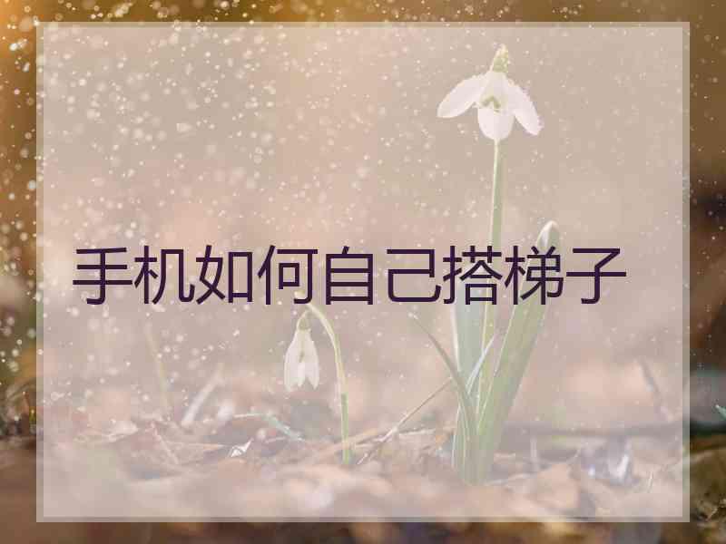 手机如何自己搭梯子