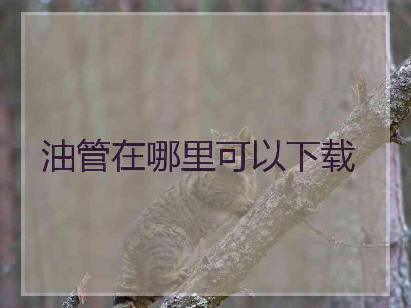 油管在哪里可以下载