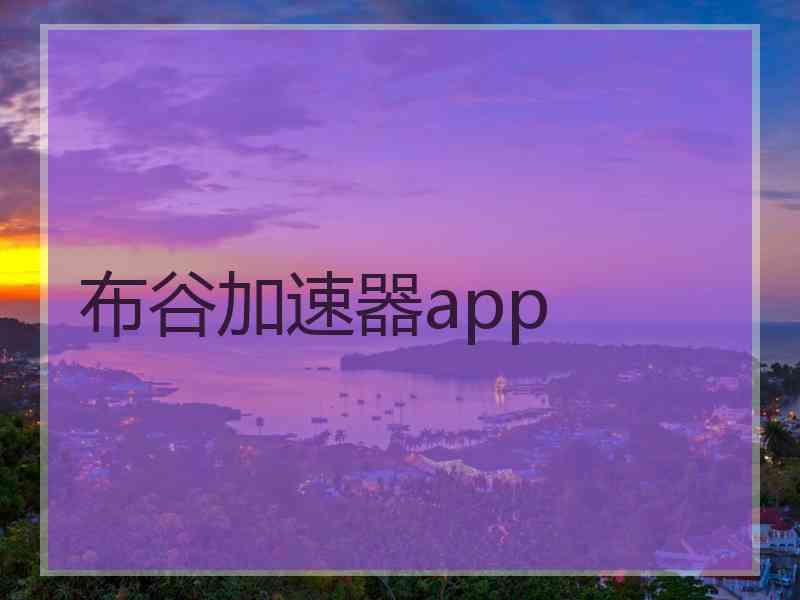 布谷加速器app