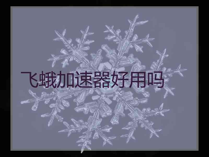 飞蛾加速器好用吗