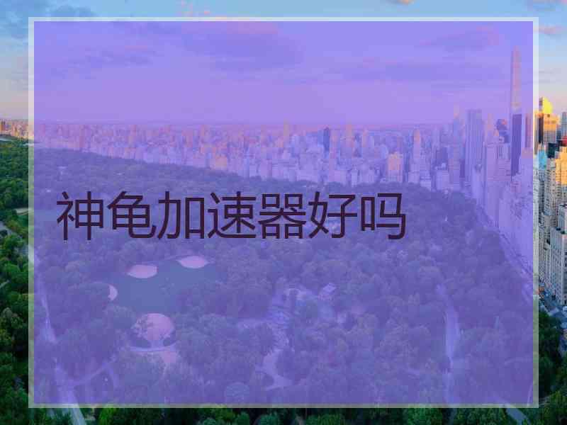 神龟加速器好吗