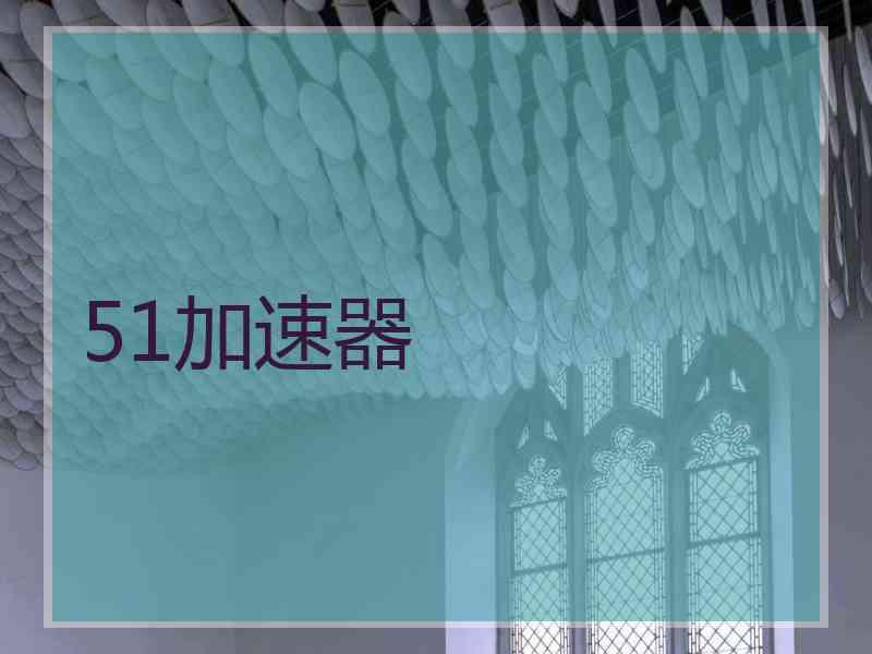 51加速器