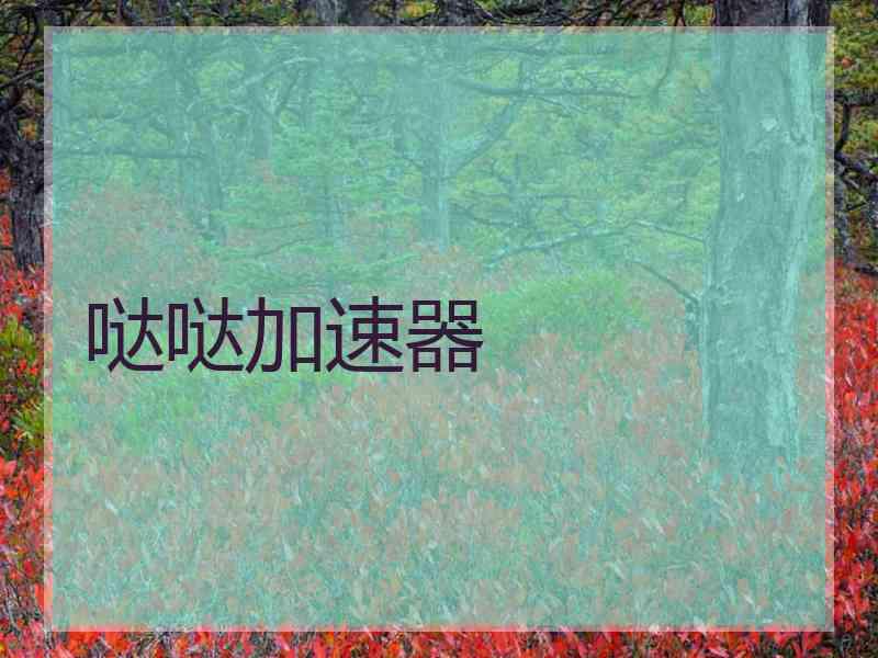 哒哒加速器