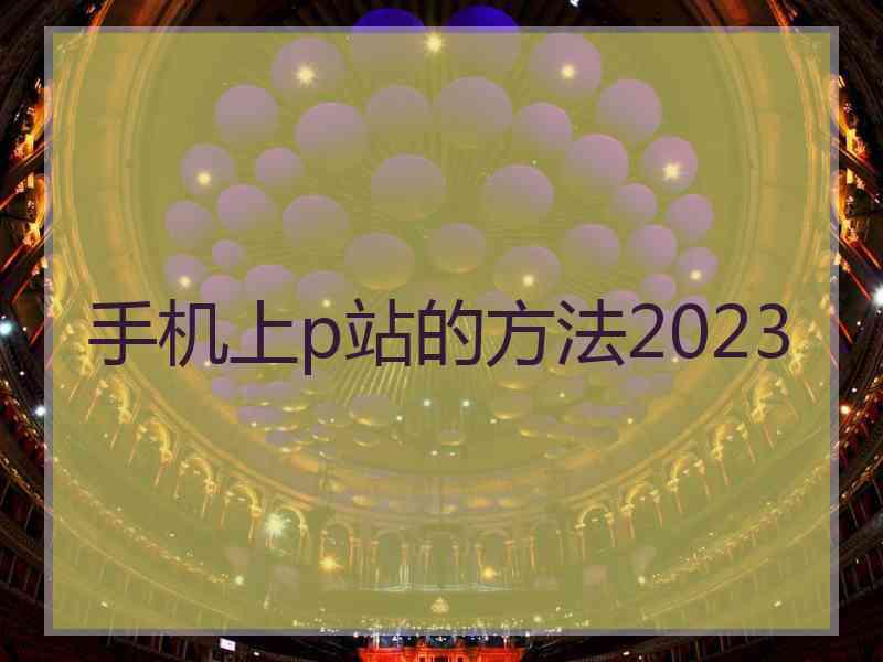 手机上p站的方法2023