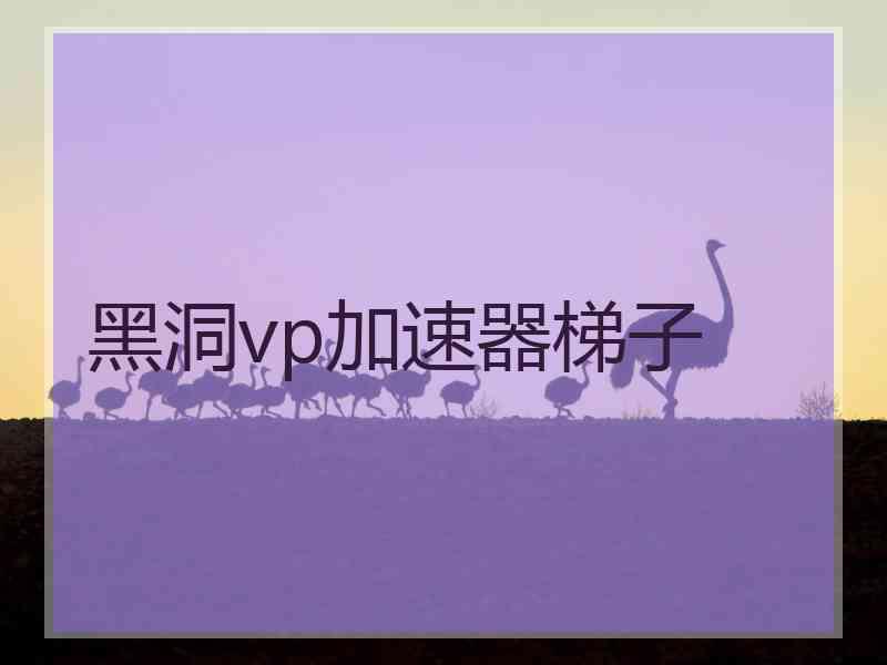 黑洞vp加速器梯子