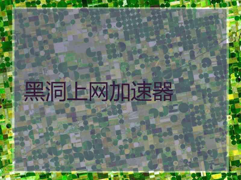 黑洞上网加速器
