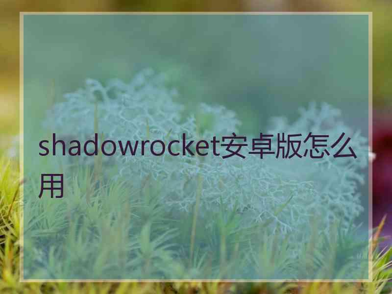 shadowrocket安卓版怎么用