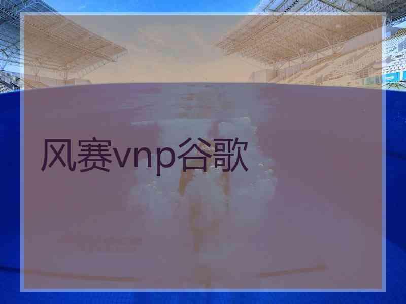 风赛vnp谷歌