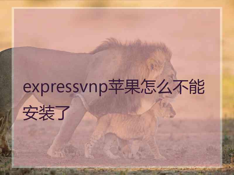 expressvnp苹果怎么不能安装了