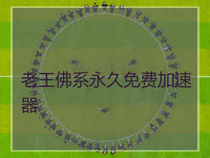 老王佛系永久免费加速器