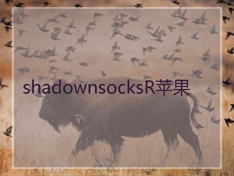 shadownsocksR苹果