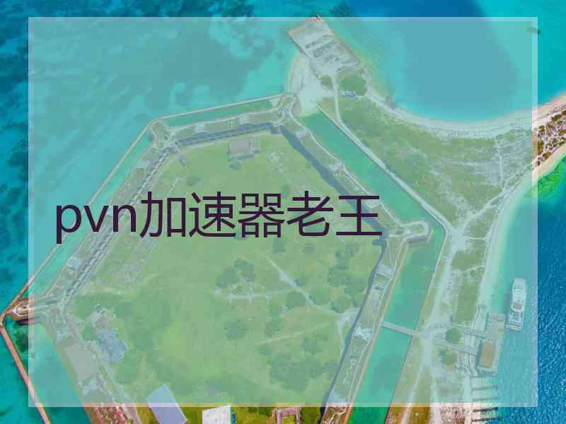 pvn加速器老王