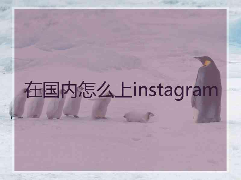 在国内怎么上instagram