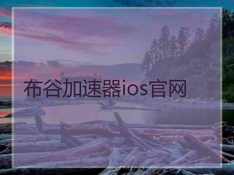 布谷加速器ios官网