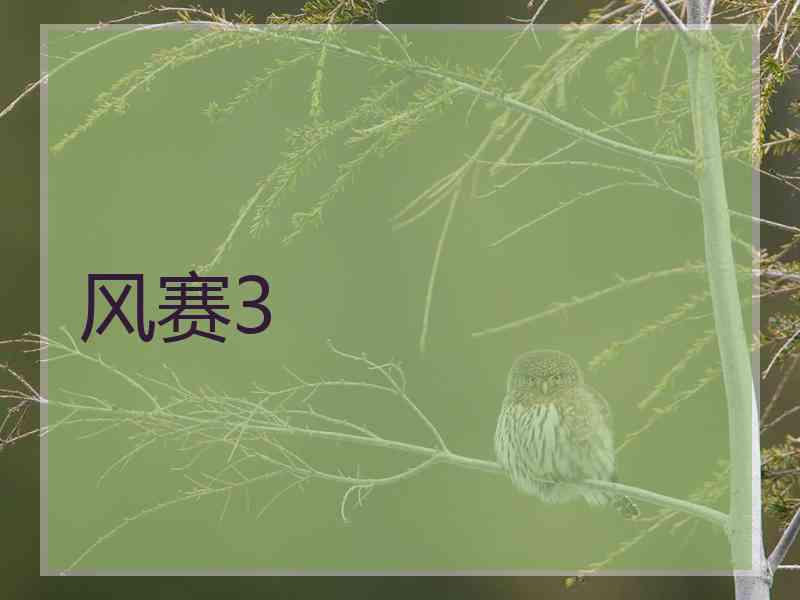 风赛3