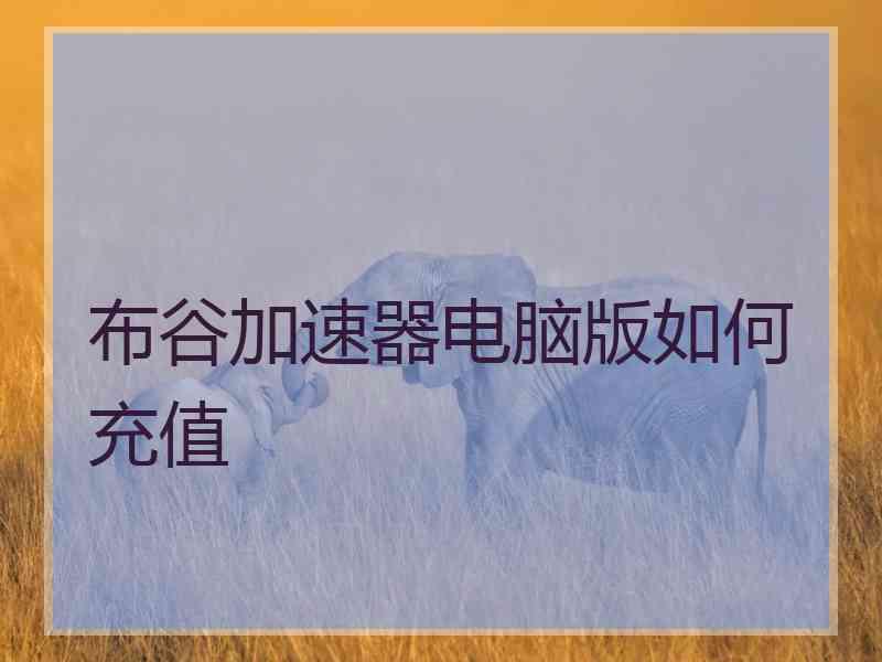 布谷加速器电脑版如何充值