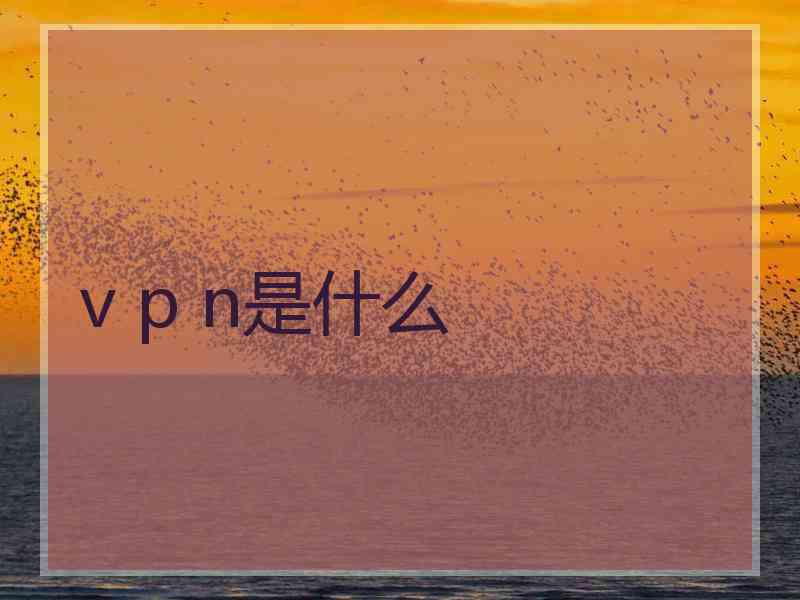 v p n是什么