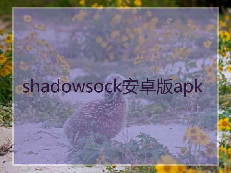 shadowsock安卓版apk