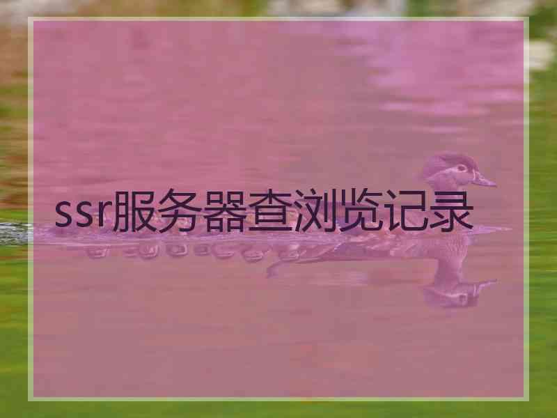 ssr服务器查浏览记录