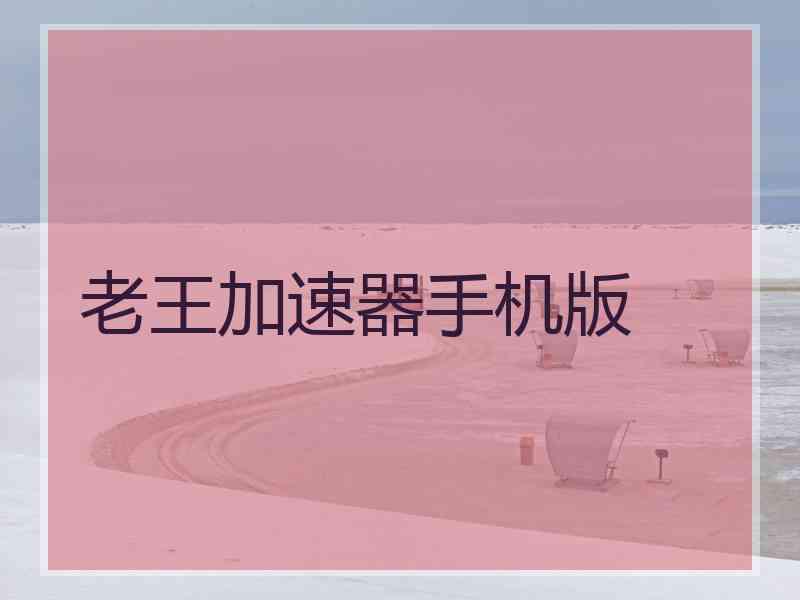老王加速器手机版