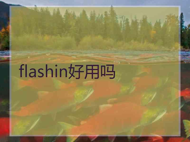 flashin好用吗