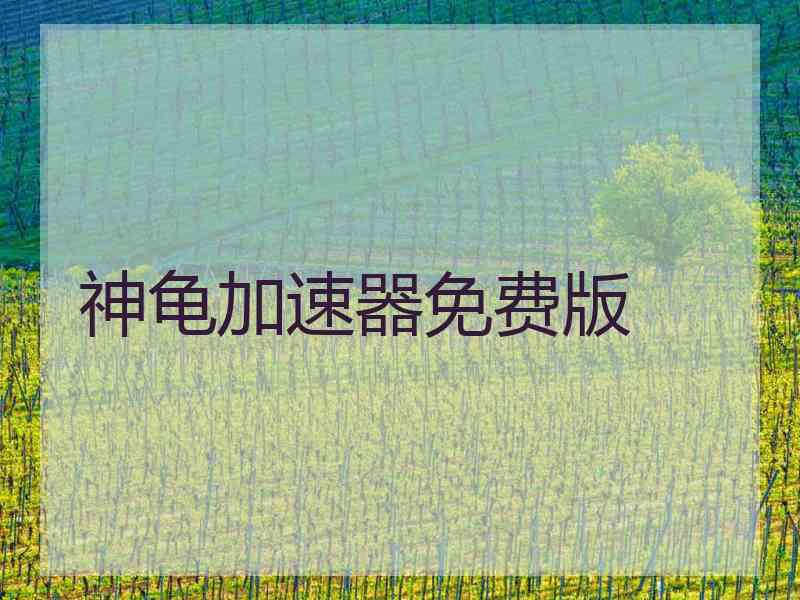 神龟加速器免费版