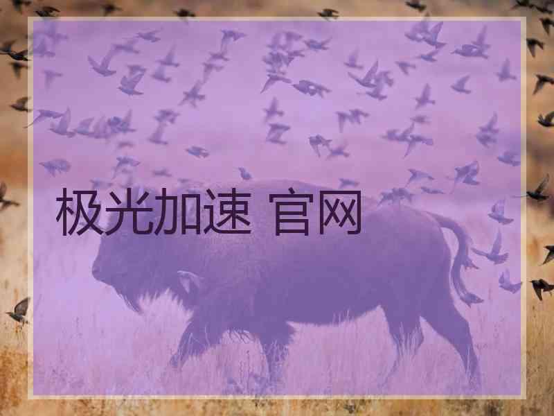 极光加速 官网