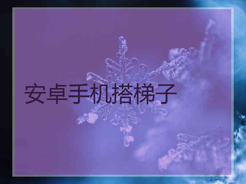 安卓手机搭梯子