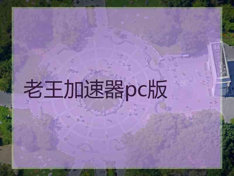 老王加速器pc版