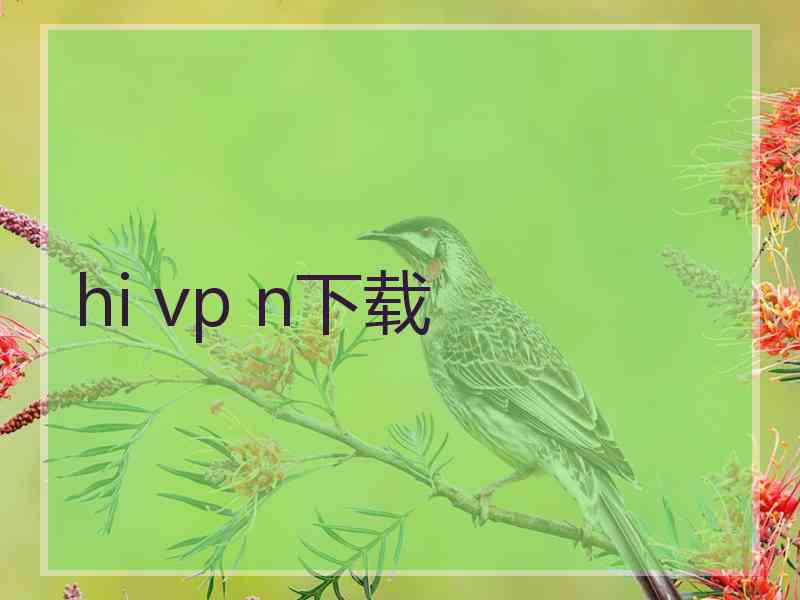 hi vp n下载