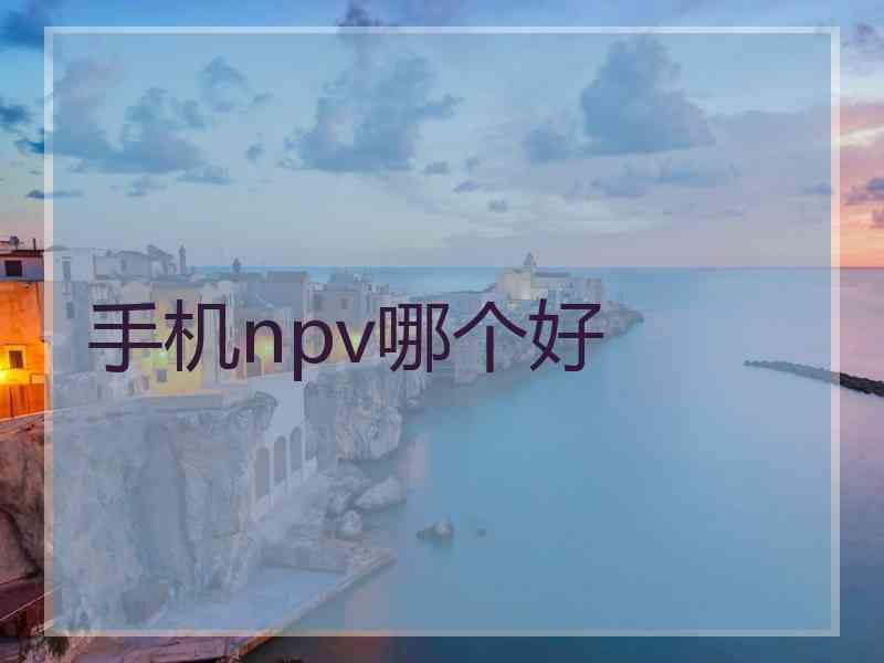 手机npv哪个好