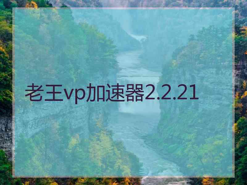 老王vp加速器2.2.21