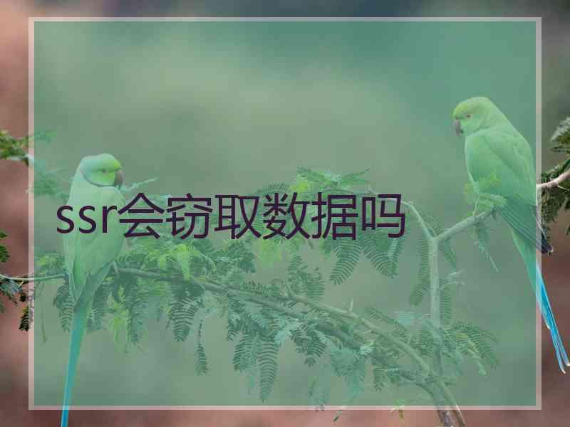 ssr会窃取数据吗