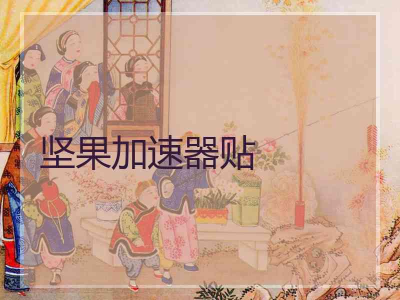 坚果加速器贴
