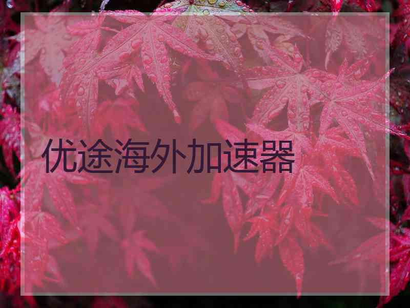 优途海外加速器