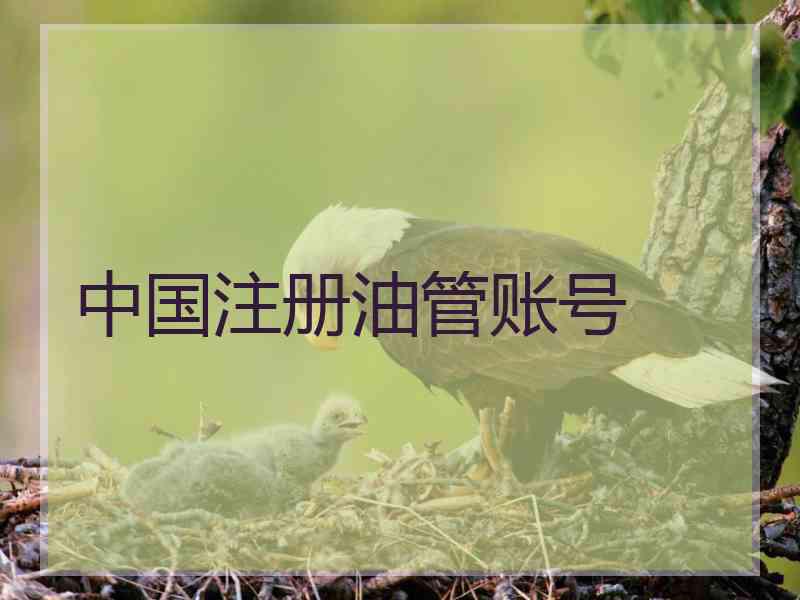 中国注册油管账号