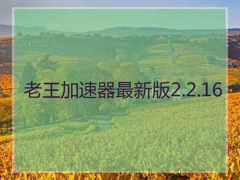 老王加速器最新版2.2.16
