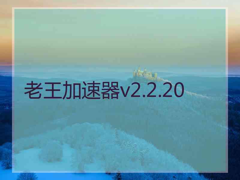 老王加速器v2.2.20