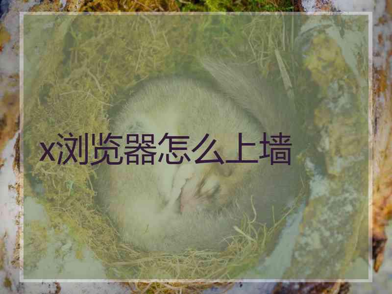x浏览器怎么上墙